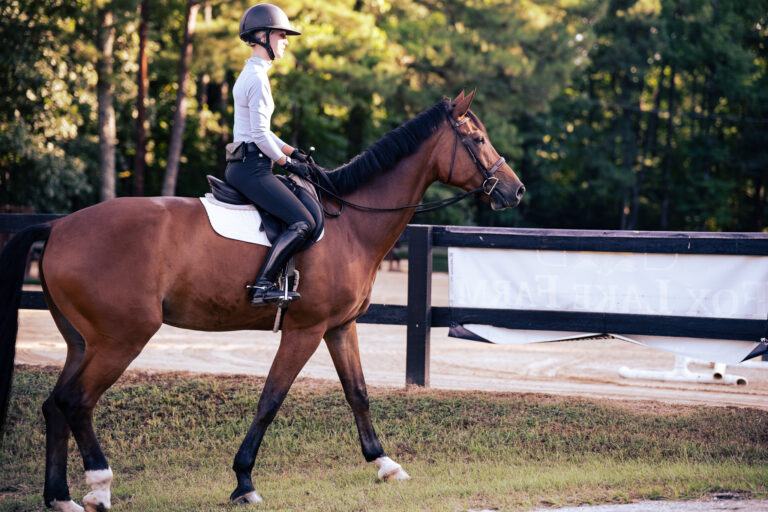 Rider in helmet and breeches riding bay horse at trot.