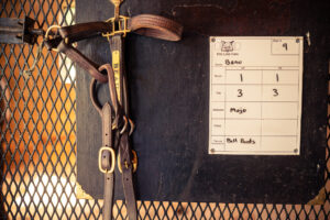 Leather halter hanging beside MOJO stall tag on barn gate.