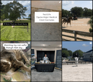 Marcella Dhority - Equine Insurance Agent